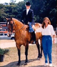 Picture of a Brindle Horse