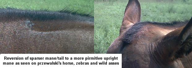 Photos by Janelle Johnson